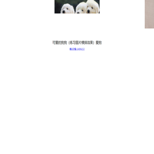 我爱狗狗