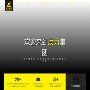 辰力集团有限公司