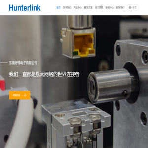 东莞行特电子有限公司