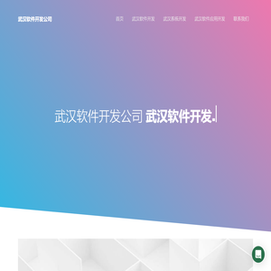 武汉软件外包公司-定制-开发