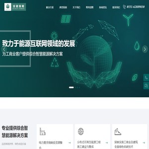 安徽绿网节能环保科技有限公司_其它_综合能源服务
