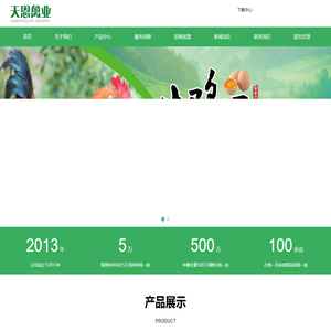 恩系土鸡五号_高产柴鸡苗_高产草鸡苗_蛋黄增色_土鸡苗_荥阳市天恩禽业有限公司_荥阳市天恩禽业有限公司