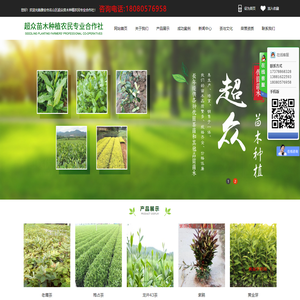 雅安市名山区超众苗木种植农民专业合作社