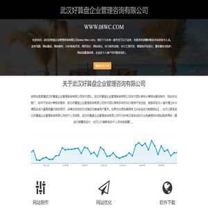 企业网站优化SEO排名_高端营销型网站设计制作 - 武汉好算盘企业管理咨询有限公司