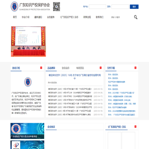 广东知识产权保护协会