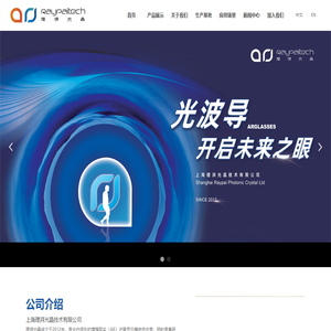 上海理湃光晶技术有限公司
