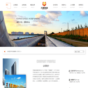 天圜控股集团有限公司