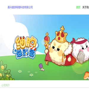 嘉兴盛游网络科技有限公司