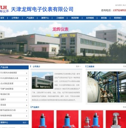 FLH系列火焰检测器|FLHQ系列高能点火器|天津火焰检测器生产厂家-天津龙辉电子仪表有限公司