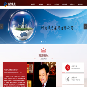 河南天力集团有限公司
