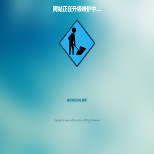 上海赛鼎生物科技有限公司.
