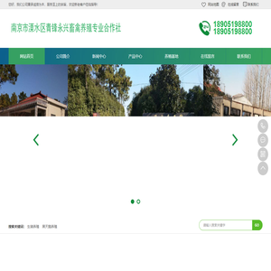 南京生猪养殖-黑天鹅养殖-南京市溧水区青锋永兴畜禽养殖专业合作社