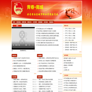 南京城市职业学院团委