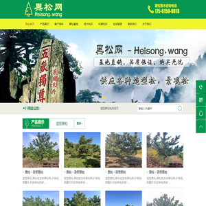 黑松网 - 造型黑松_景观造型黑松_造型黑松批发_景点绿化黑松_黑松基地直供_买黑松就来 Heisong.wang
