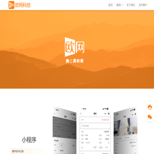 网站建设_APP开发_微信小程序开发_抖音小程序开发_ERP系统开发_定制系统开发 - 欧网科技