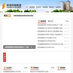 陕西供销集团