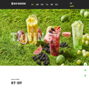 TANING挞柠-手打果蔬茶官方网站-柠檬茶、柠檬茶加盟、挞柠柠檬茶、柠檬茶品牌、茶饮品牌、柠檬茶加盟、鲜果茶加盟、奶茶加盟、奶茶品牌、海外加盟、海外开店
