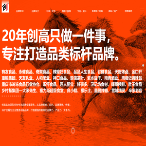 20年创高品牌全案设计