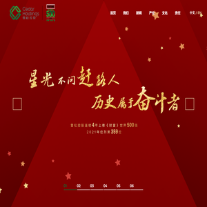 雪松控股集团Cedar Holdings-雪松控股