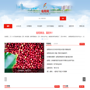 临翔网