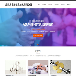 武汉思格瑞信息技术有限公司
