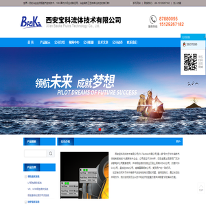 西安宝科流体技术有限公司-钢包底吹系统