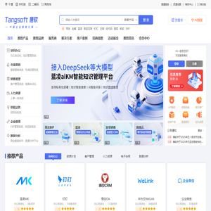 唐软 - 中国企业数智化网