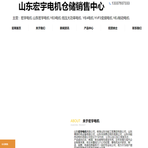山东宏宇电机济南仓储销售中心销售YE3三相异步电动机