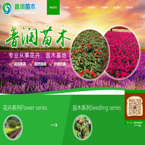 青州市普润苗木有限公司,时令草花系列；宿根地被系列；绿化苗木系列