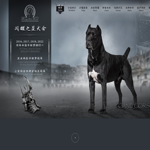 首页 - 卡斯罗_赛级卡斯罗_cane corso-闪耀之星犬舍