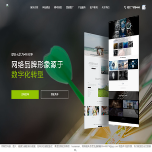 上海网站建设_网站设计_上海网站定制开发公司_翎栀网络