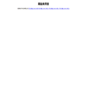 极敏电子科技