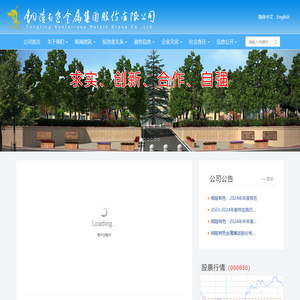 铜陵有色金属集团股份有限公司