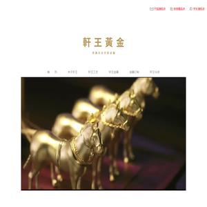 轩王珠宝有限公司