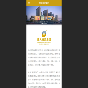 庞大投资集团