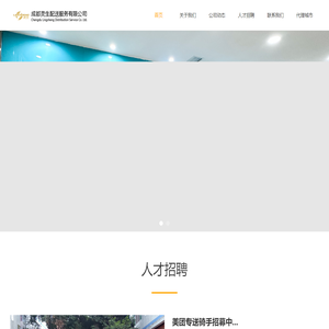 成都灵生配送服务有限公司-首页