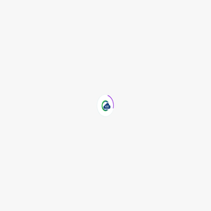 星科网