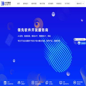 大光网络-专业软件定制开发服务商