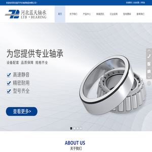 河北蓝天汽车轴承制造有限公司