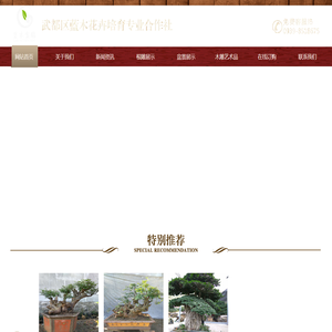 盆景根雕_陇南盆景_武都根雕_天然盆景根雕-武都区蓝木花卉培育专业合作社