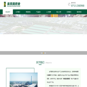 金凤凰纸业(孝感)有限公司