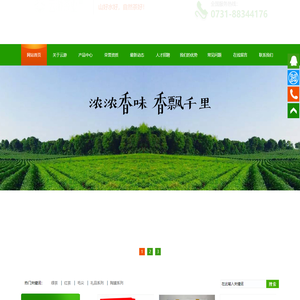 长沙云游茶业有限公司_湖南绿茶|红茶价格|长沙毛尖批发