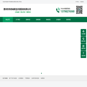 惠州市伟奇峰再生资源回收有限公司