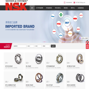 NSK轴承授权代理商 - 广州沃恩 - 为您提供日本进口NSK轴承一揽子综合服务