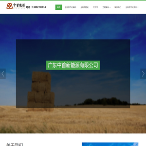 生物质气化炉_生物质锅炉_生物质颗粒_广东中首