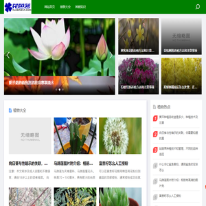 花芭莎-植物大全/办公室绿植租赁/盆栽花卉租摆