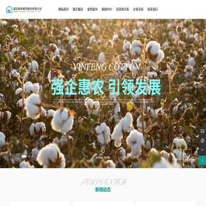 湖北银丰棉花股份有限公司|棉花资源基地|仓储及物流