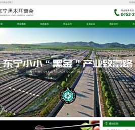 东宁黑木耳商会