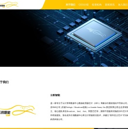 云豹智能【云豹智能】专注于云计算和数据处理器DPU芯片与解决方案