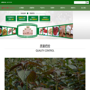 四川省中药饮片有限责任公司